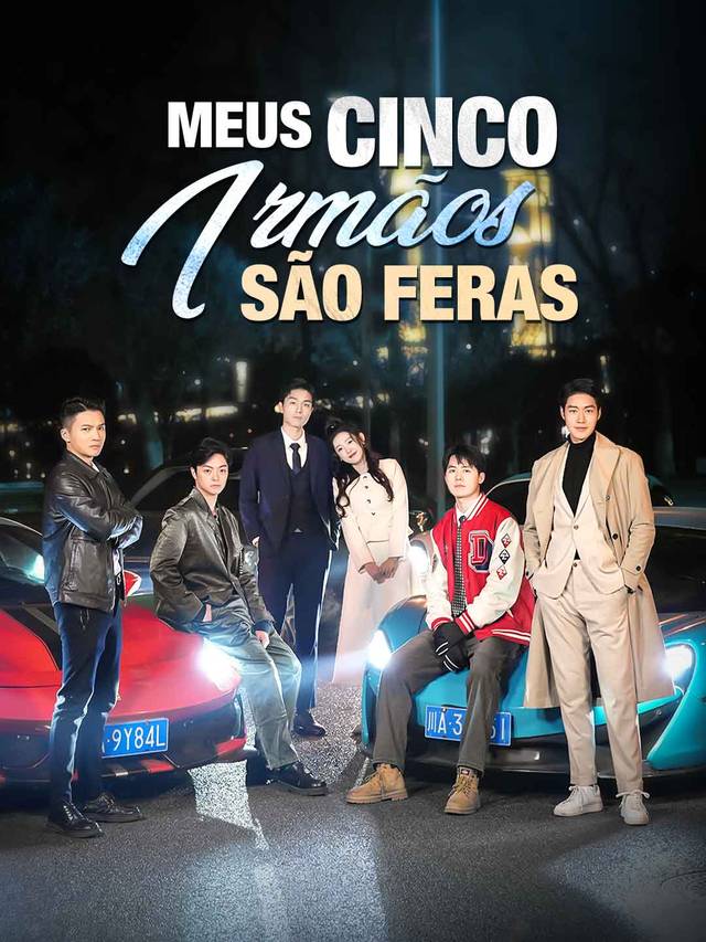 Meus Cinco Irmãos São Feras