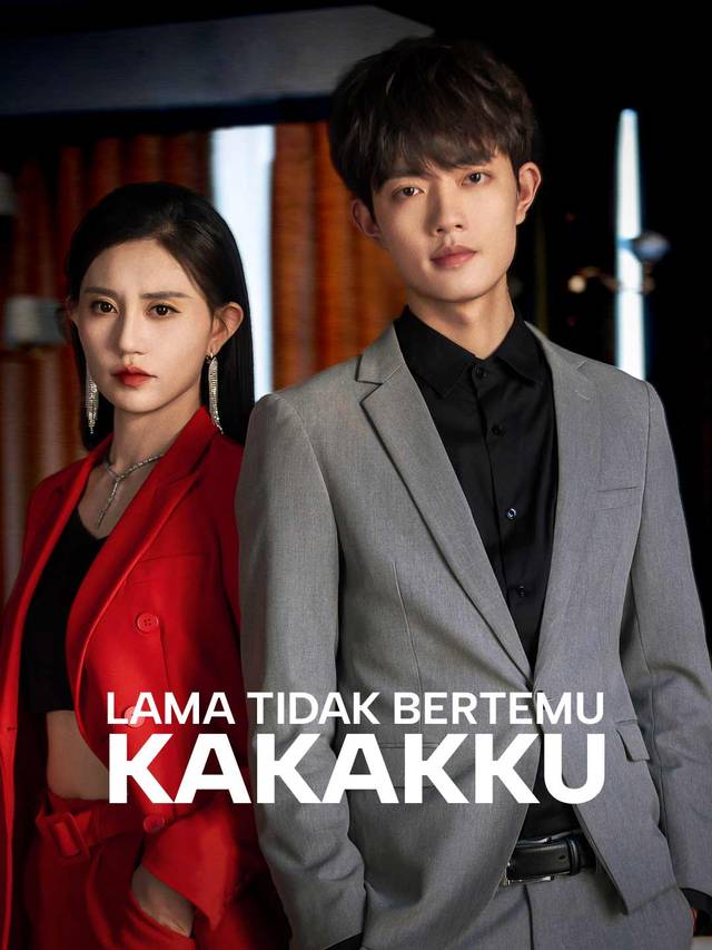 Lama Tidak Bertemu, Kakakku