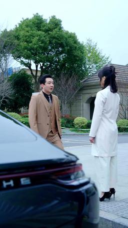 Accidental Billionaire Bride episode 74