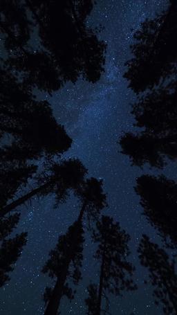 원수의 이끌림 episode 12