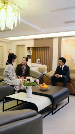 Accidental Billionaire Bride episode 35