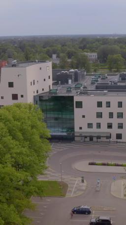 Mafiaboss geht zur Schule episode 12