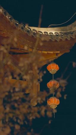 惹她幹嘛，她二嫁但皇帝心尖寵 episode 2