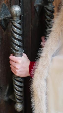 Ratu Serigala Bangkit dari Abu episode 31