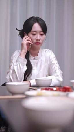 封總，你家崽崽全球找爹了 episode 5