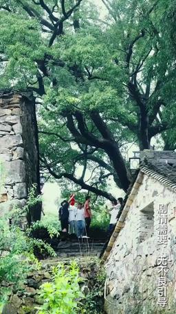 一人不入廟 episode 95
