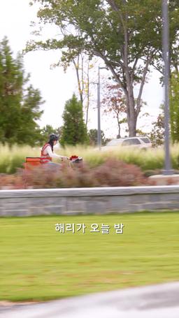 상속녀가 남편에게 불시착하다 trailer
