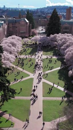 Amoureuse du meilleur ami de mon frère ?! episode 1