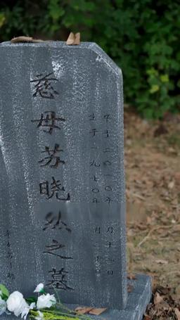 嫁給殘疾大佬後被寵上天 episode 53