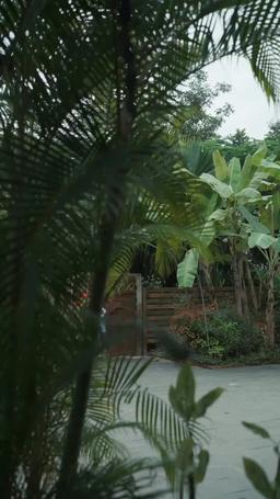 แค้นรักสามีทรยศ episode 50