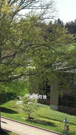 一夜中獎：學霸男神賴上我 episode 43