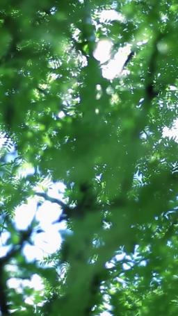 慕機長、奥様が高跳びしました episode 69