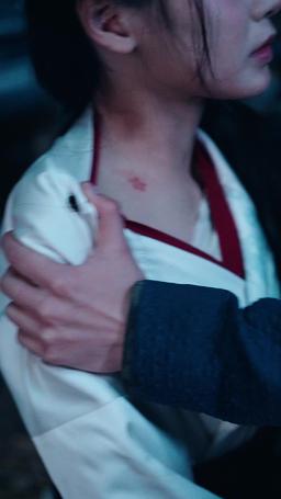 惹她幹嘛，她二嫁但皇帝心尖寵 episode 8