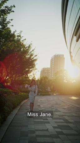 Two Penniless CEOs' Flash Marriage episode 2