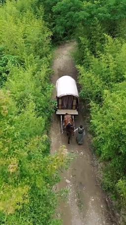 替嫁當寡婦，我贏麻了 episode 27