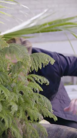 Audrey en pleine floraison episode 56