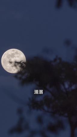 掌心暗渡 episode 10