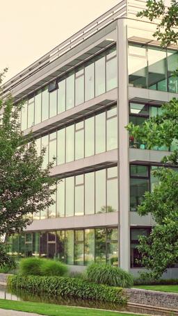 알파의 아이를 가졌다 episode 1