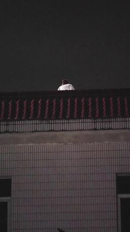 재벌가 사모님으로 환생하다 episode 74