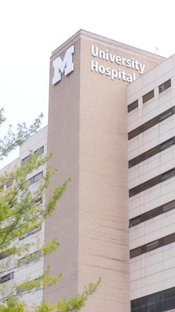 Acompanhando o médico bilionário implacável episode 53
