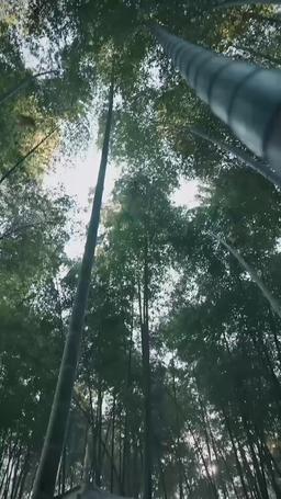 都市修仙傳 episode 68