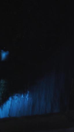 她死後薄爺跪在墓碑前哭成狗 episode 66