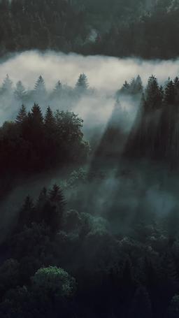 Takdirku Terikat Musuh Serigala episode 49