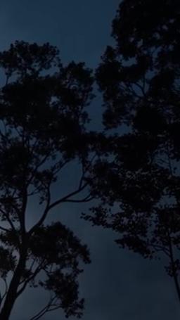 閃婚後夫人她不裝了 episode 69