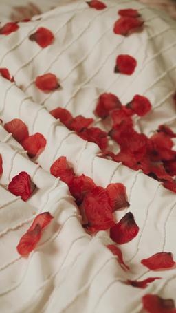 Le Milliardaire Fugitif Devient Mon Marié episode 16