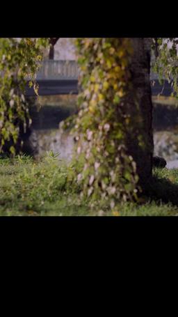 Forest Fairies episode 12