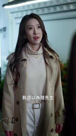 冷靜期三十天倒數 episode 30