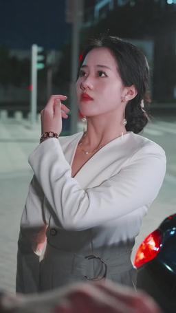 Where Is My Dear Mrs. Ford? episode 24