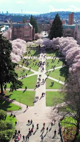 Papai em Casa: Subindo de Nível episode 1