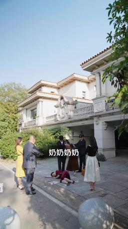 嫁給殘疾大佬後被寵上天 episode 31