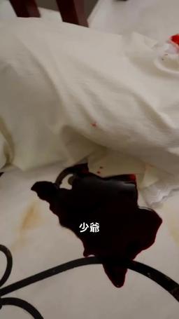 厲總的籠中雀 episode 33