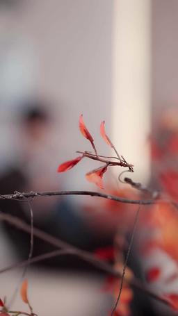 Where Love Still Lingers episode 20