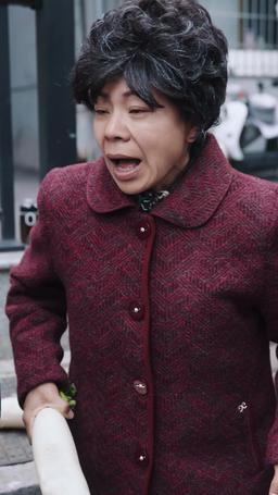 Don't Mess with My Granny! episode 25