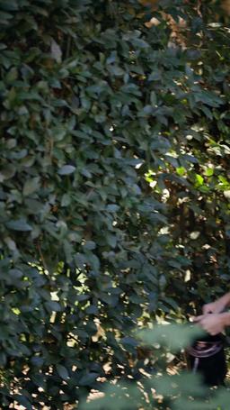 ตรวนรักอัลฟ่าศัตรูหัวใจ episode 49