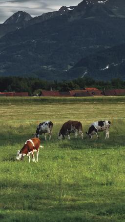 Von einem Cowboy eingefangen episode 32