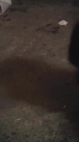 攤牌了，團寵千金她不裝了 episode 72