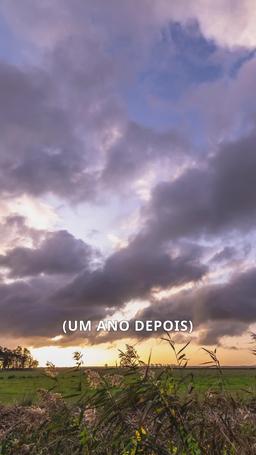 Laçada pelo Amor de um Cowboy episode 86