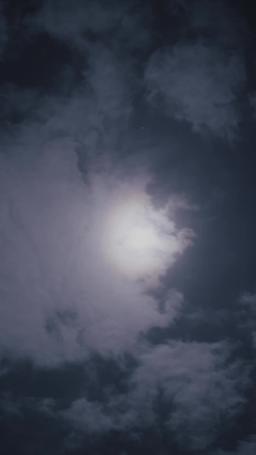 Sob o Mesmo Teto episode 49
