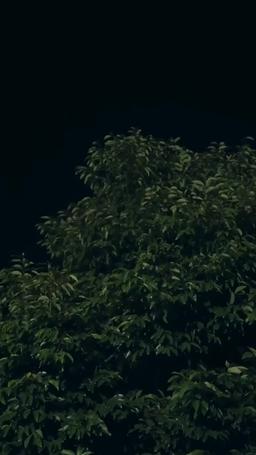 아내가 돌아왔다 episode 1