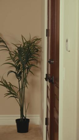 La stratégie de retour de l'ex-femme episode 1