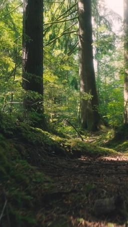 ขอรักเธออีกครั้ง episode 33