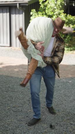 Lassoed by a Cowboy's Love episode 79