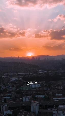 검은 태양 아래 우리의 밤 episode 73