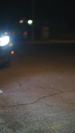 كيف تروض ثعلبًا فضيًا episode 5