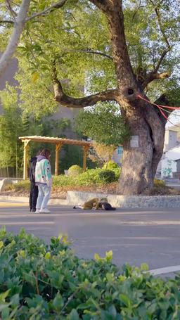 이 결혼에 후회는 없어 episode 39