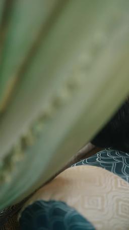 Blind to Love, Bound to You episode 39